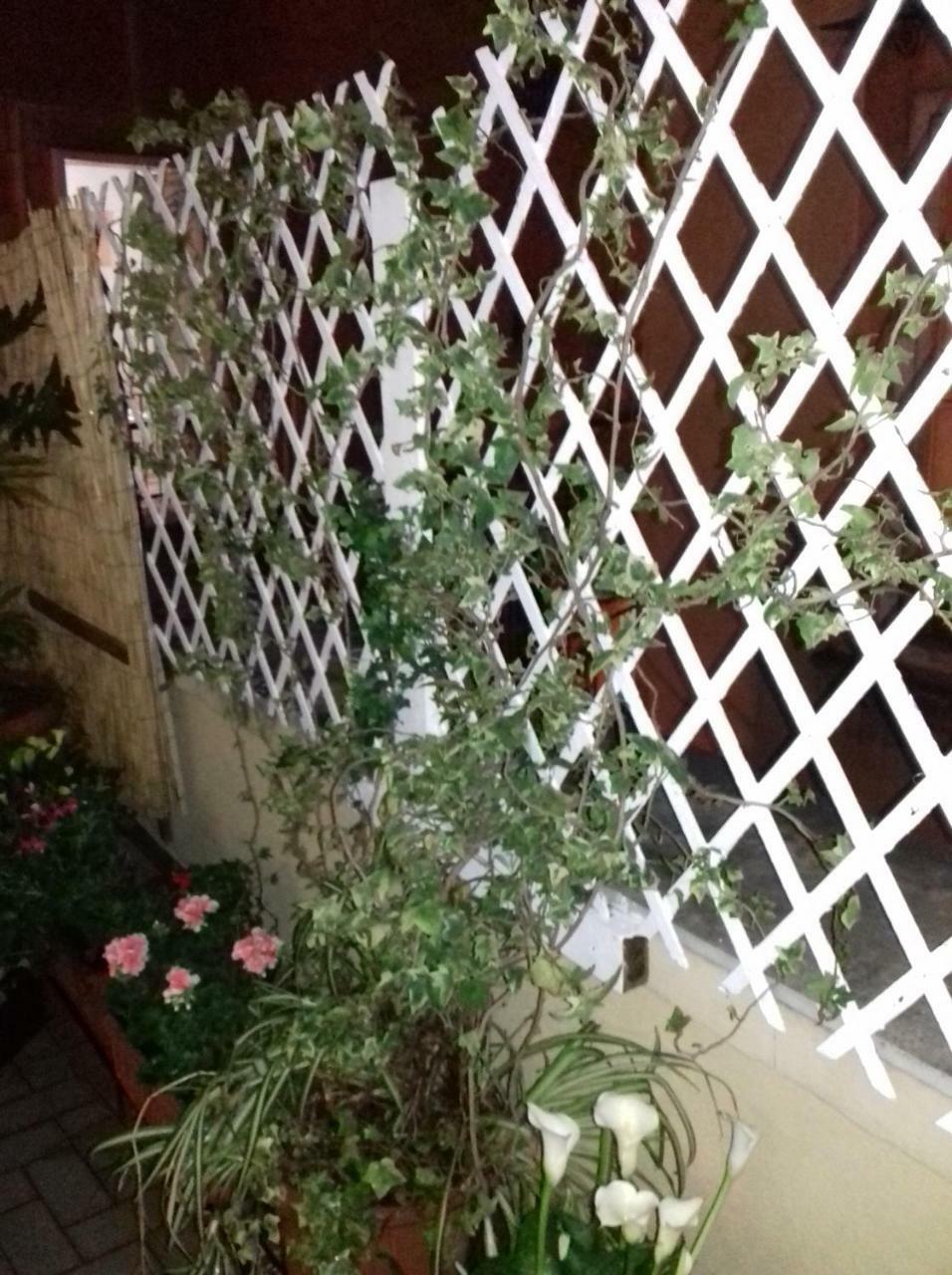 לינה וארוחת בוקר נאפולי La Terrazza Di Dante מראה חיצוני תמונה